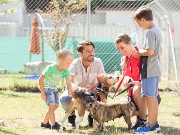A group of adults and children at a dog park.